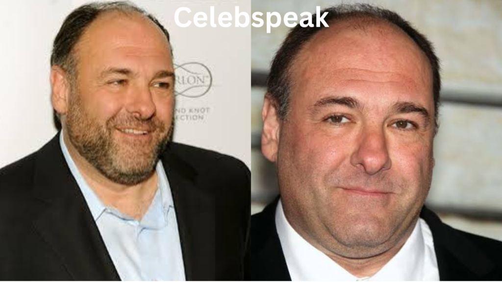 james gandolfini net worth